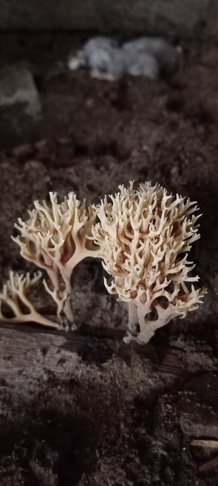 Photograph by Владимир Баженов