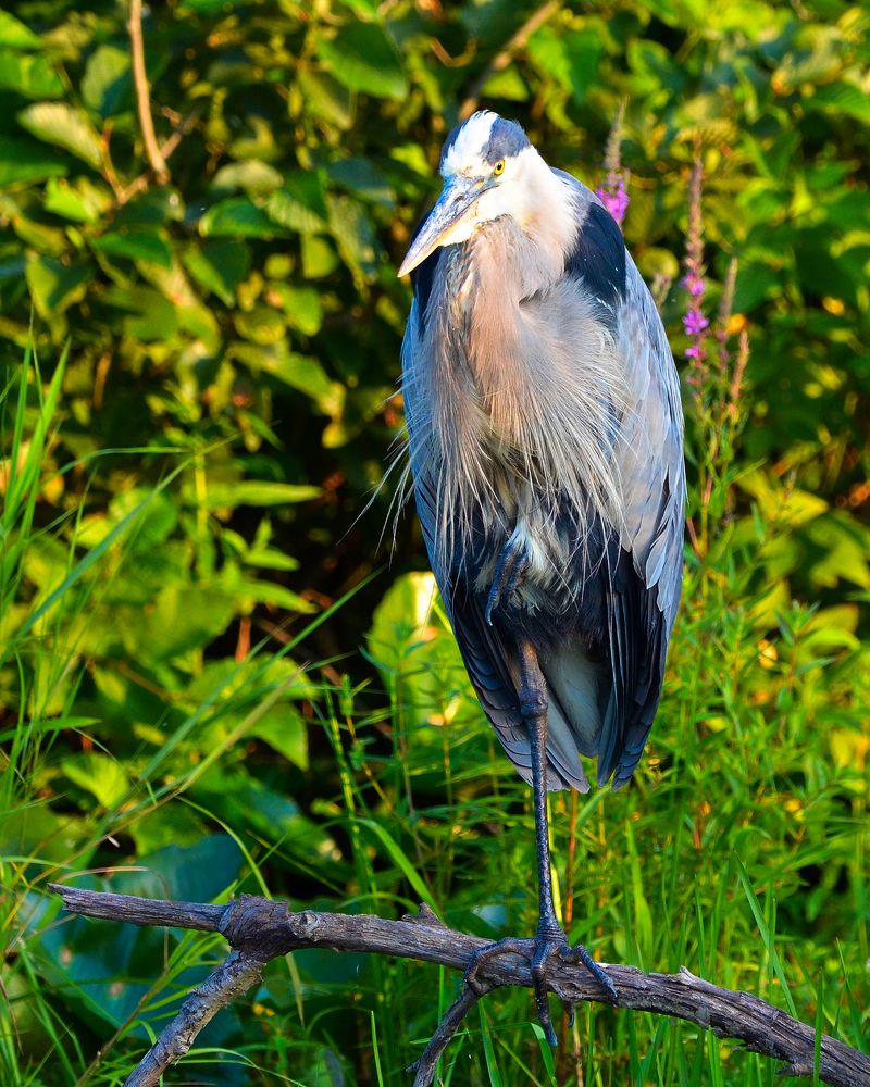 Photograph by Ken Oliver