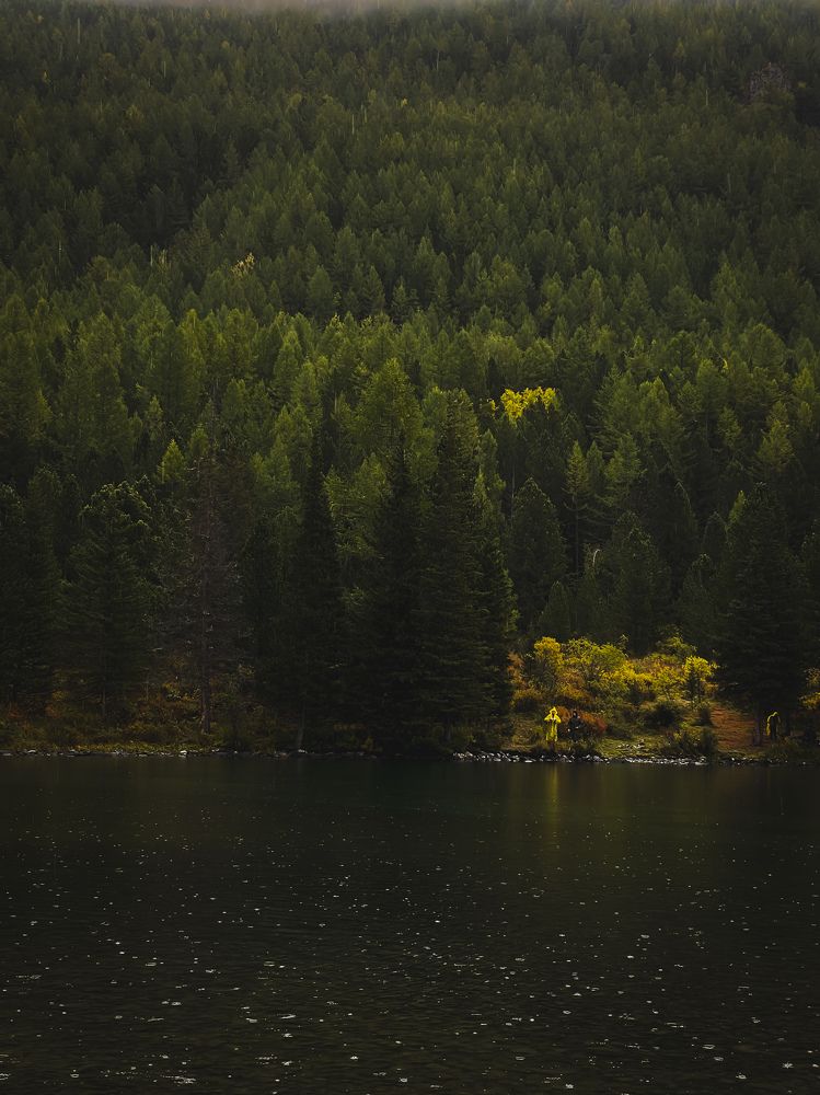 Photograph by Viktoria Likhtenvald