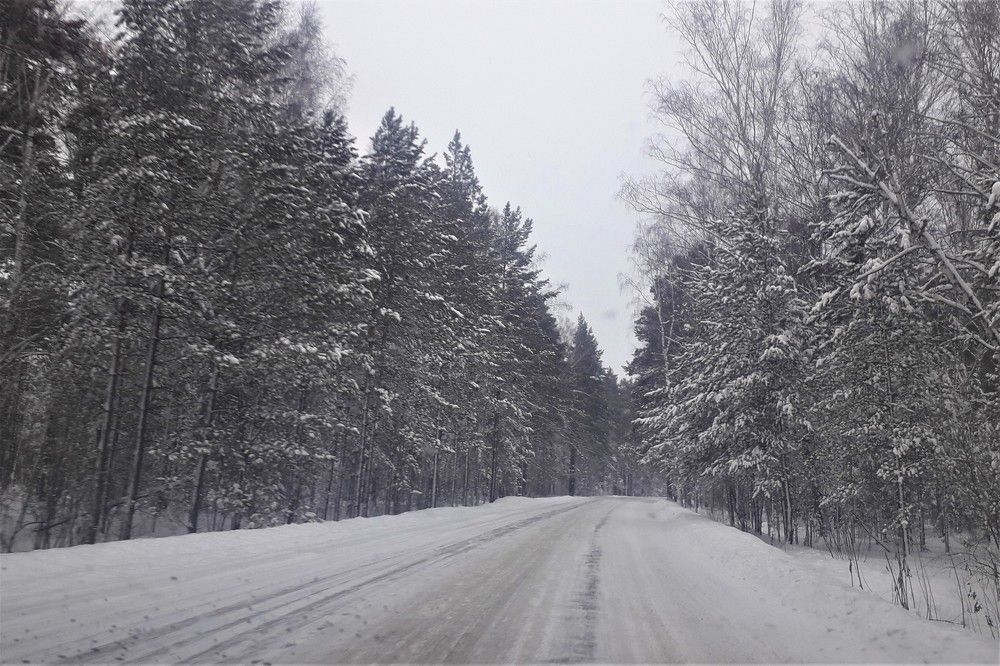 Photograph by Удовченко Елена