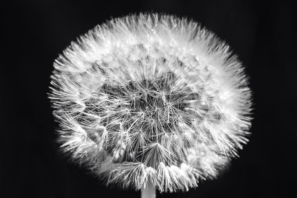 Photograph by Terēze Štube