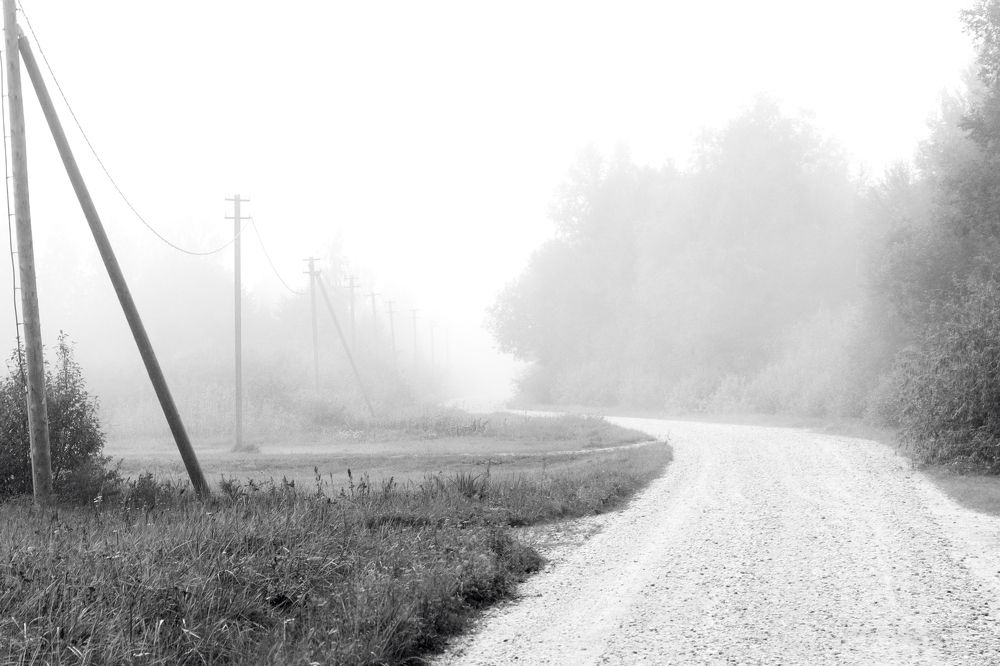 Photograph by Terēze Štube