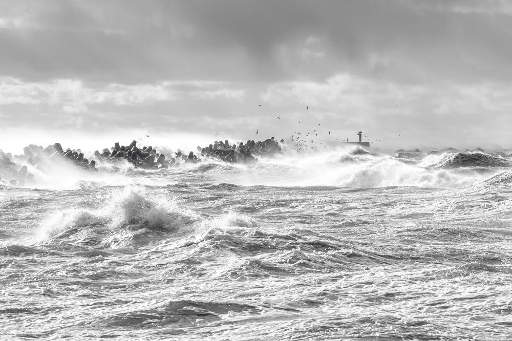 Photograph by Terēze Štube