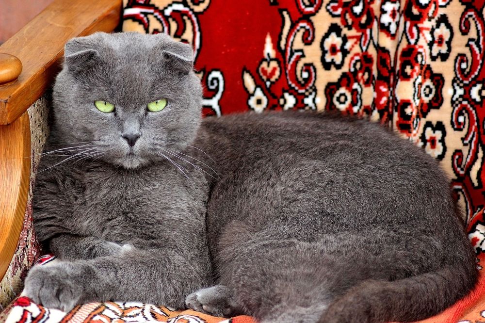 Photograph by Анна Восковых