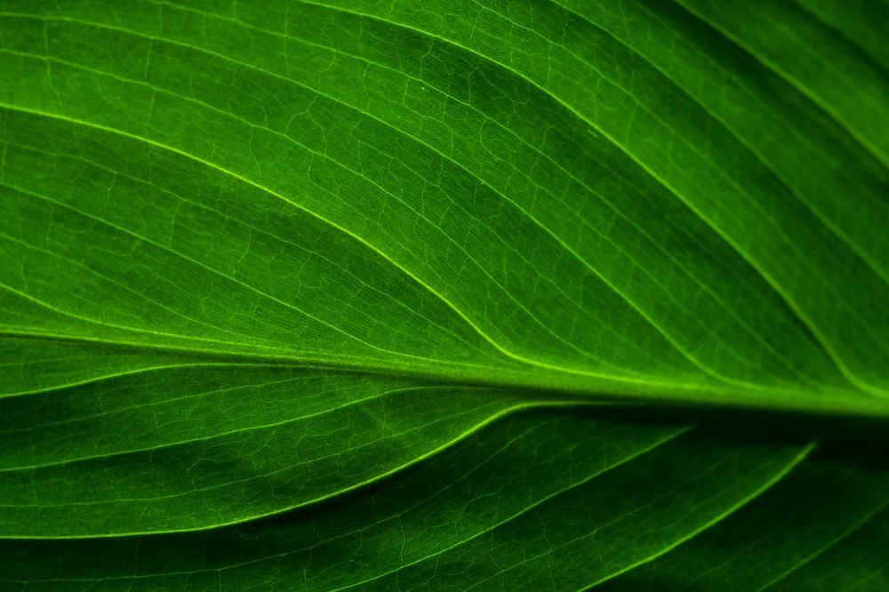 Фотография автора Vitaly Voloshin