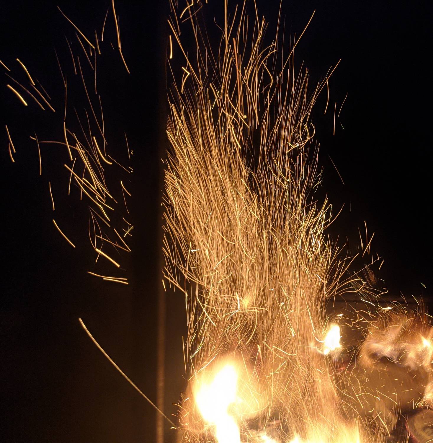 Photo #9773451