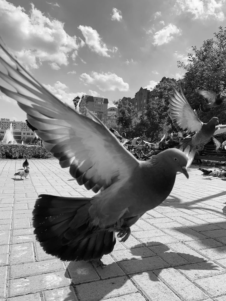 Photograph by Ольга Стафутина