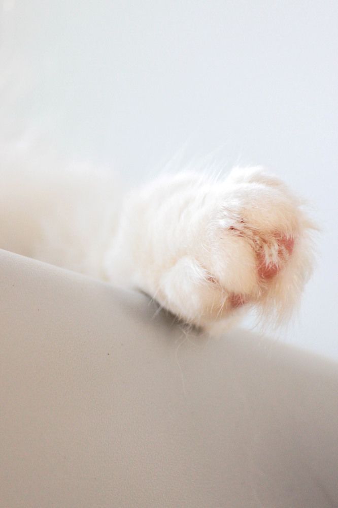 Photograph by Елена Сиднина