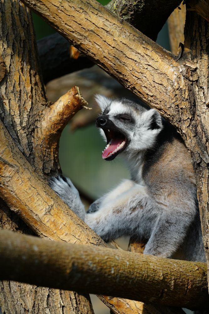 Фотография автора Владимир Хащанский