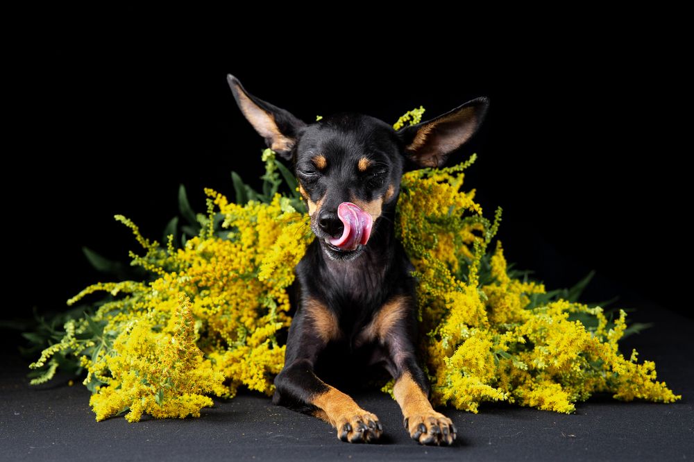 Photograph by Ильяс Бекмансуров