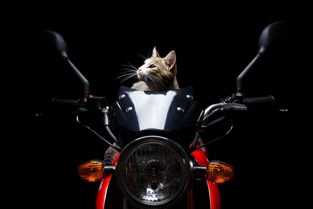 Photograph by Ильяс Бекмансуров