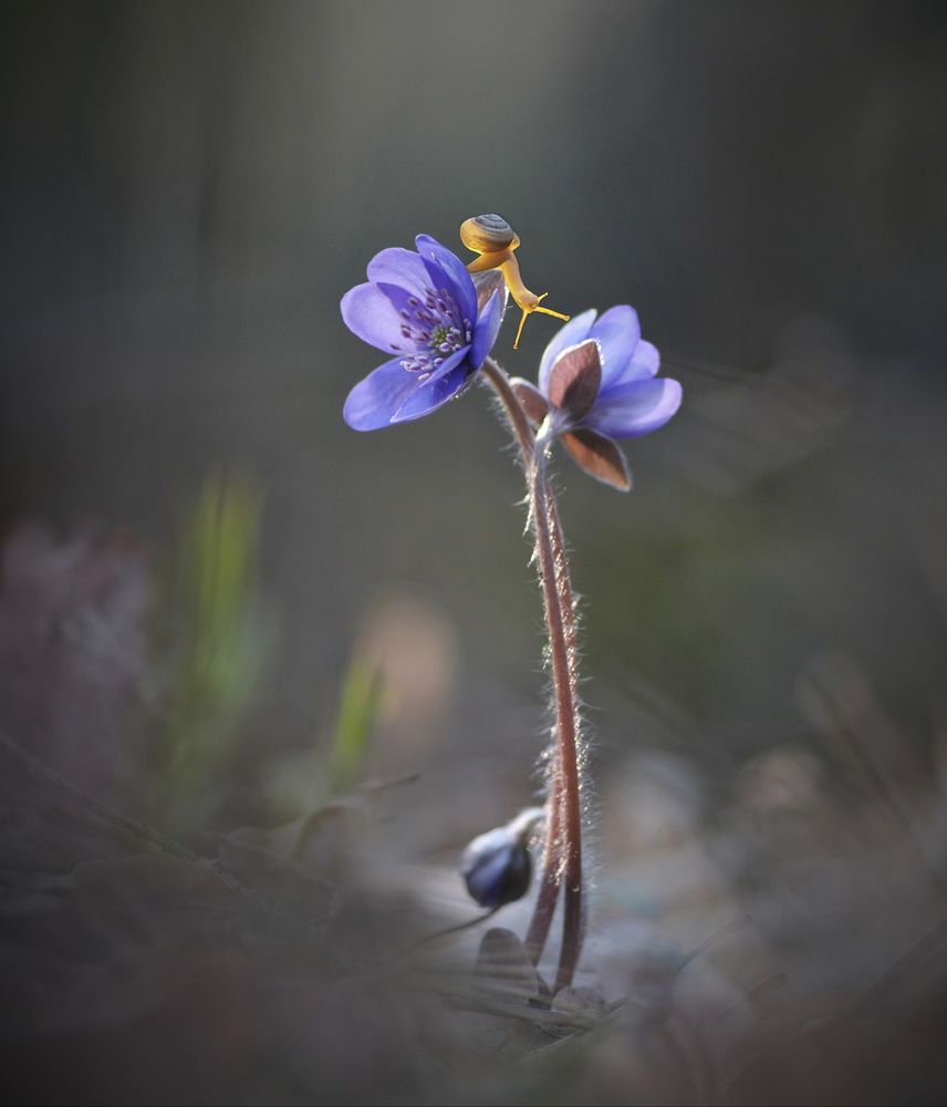 Photograph by Александр Гвоздь