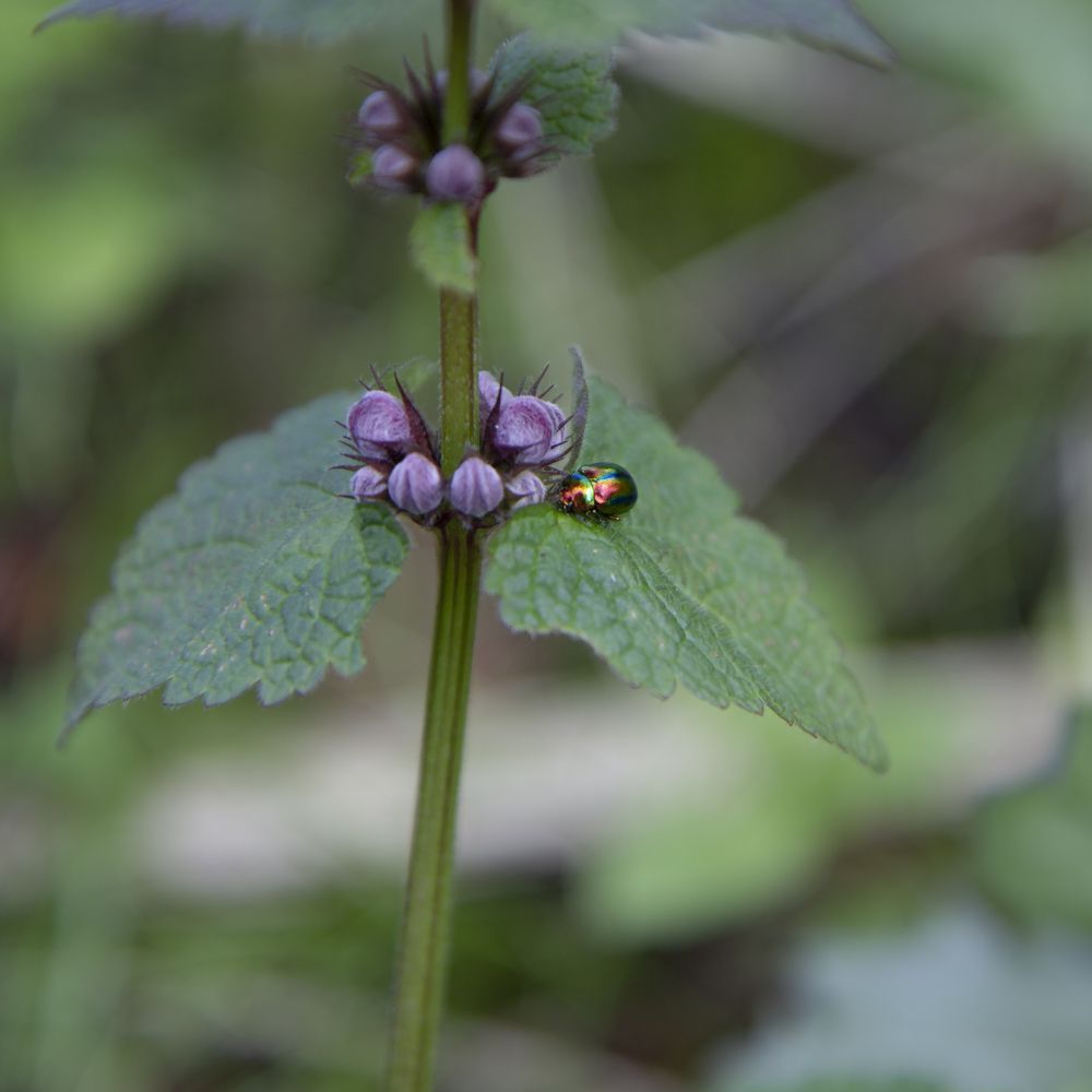Photograph by Светлана Зайкова