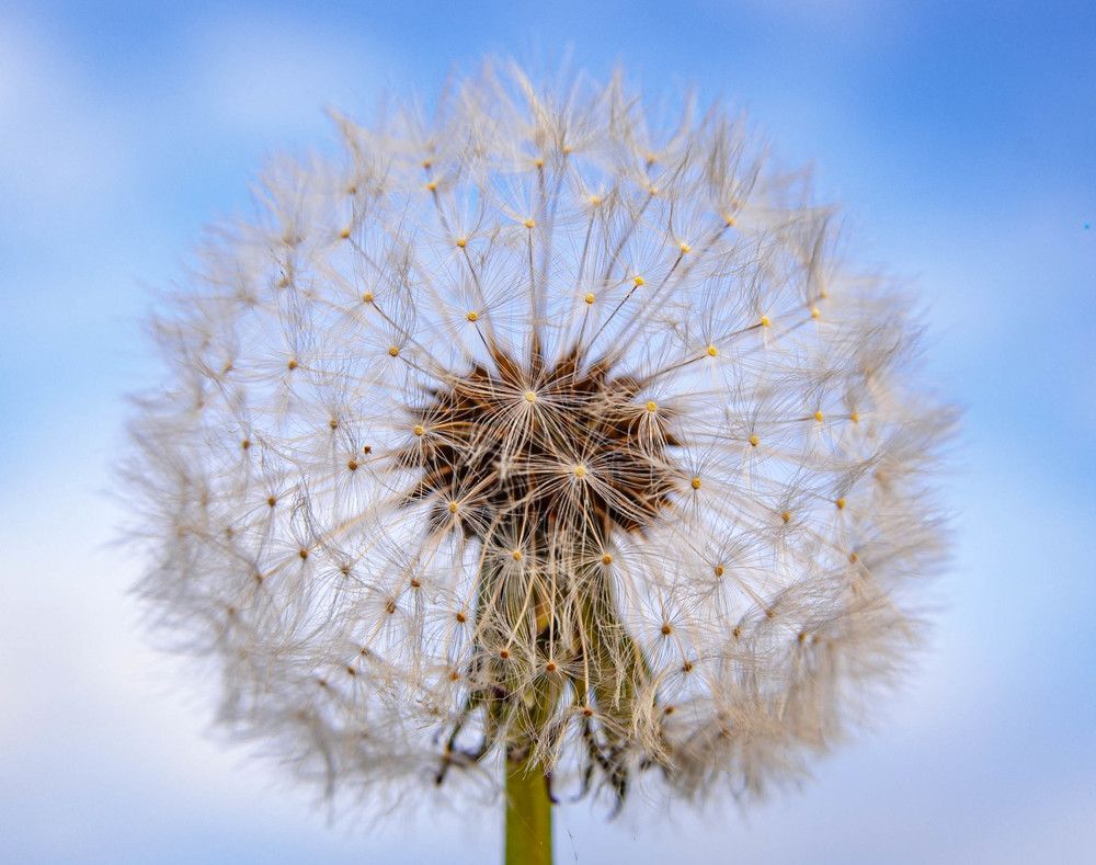 Photograph by Диана Бородзе