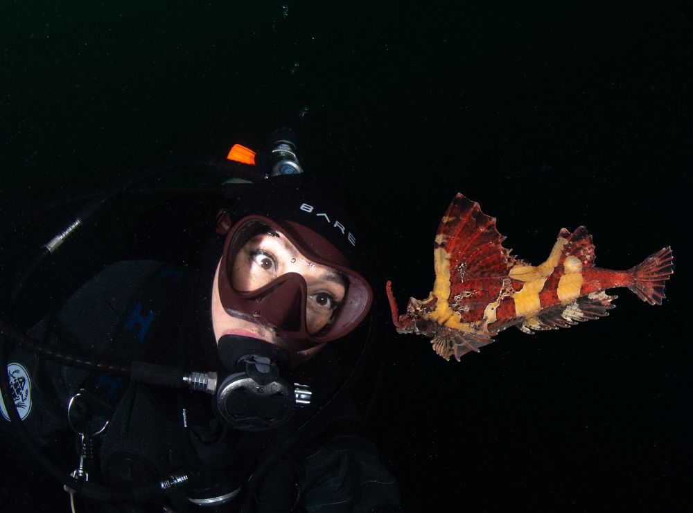 Фотография автора Андрей Крапивной