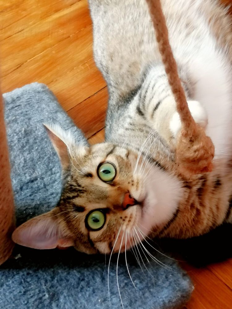 Photograph by Юлія Гацко