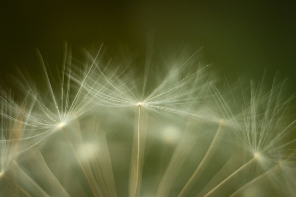 Photograph by Егор Рукавицин