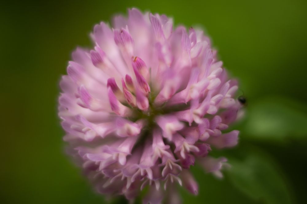 Photograph by Егор Рукавицин