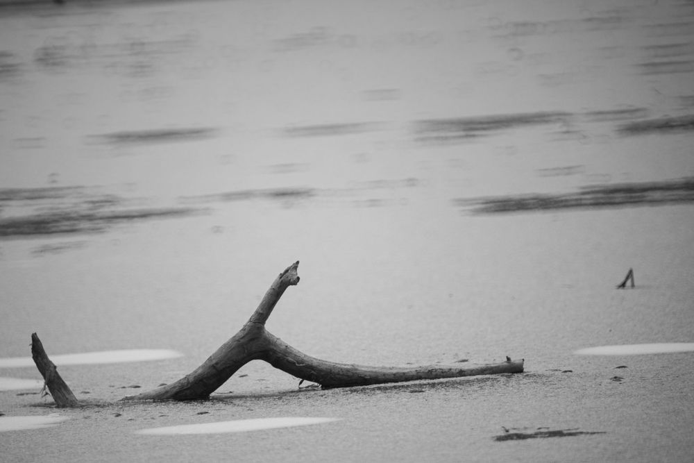 Photograph by Алексей Арестов