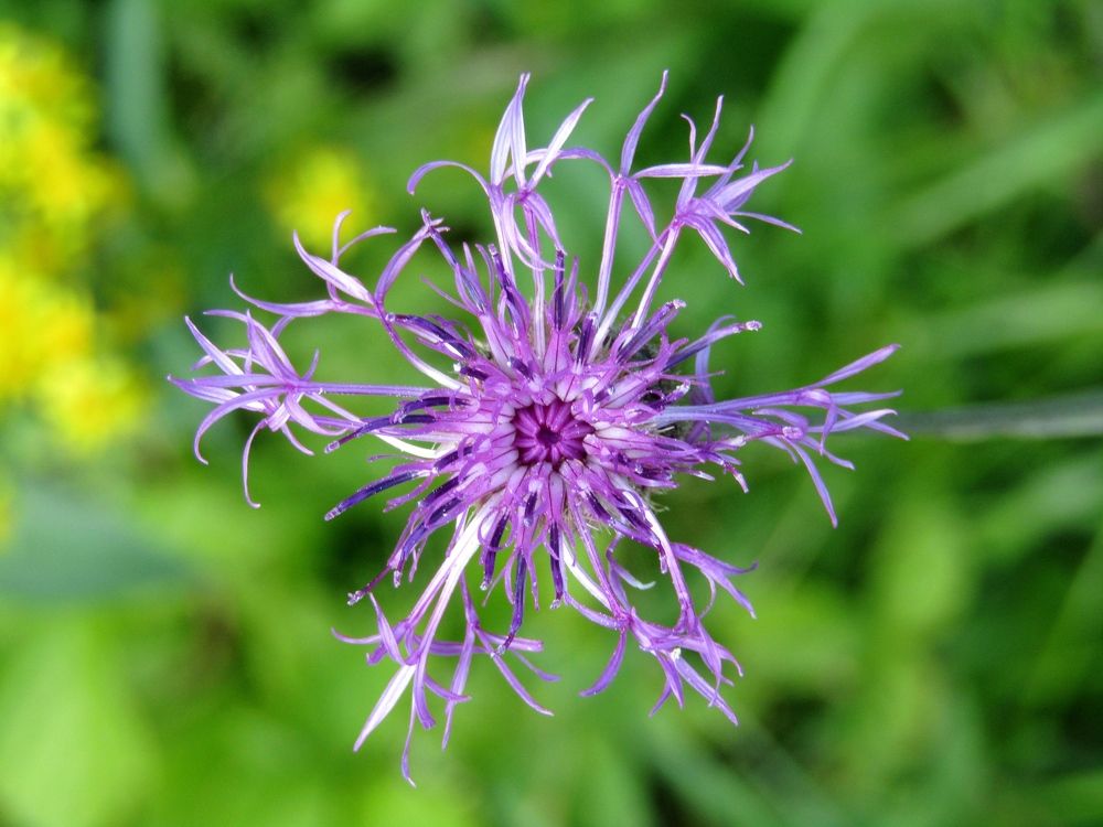 Photograph by Владимир Перминов