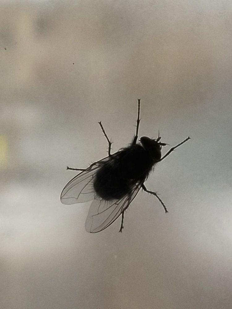 Photograph by Олеся Купча