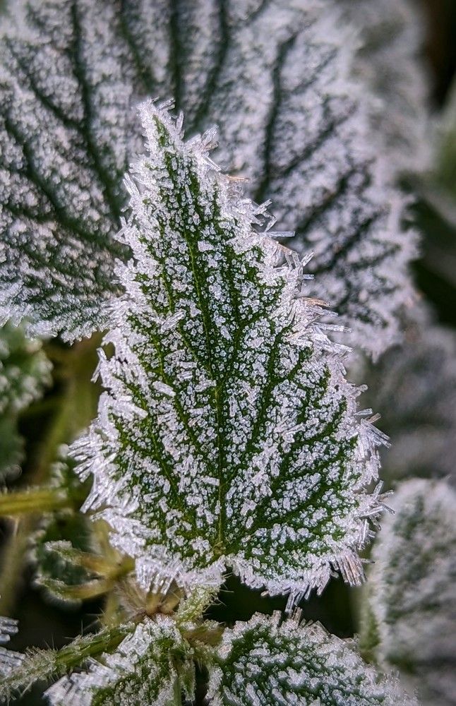 Photograph by Екатерина Колот