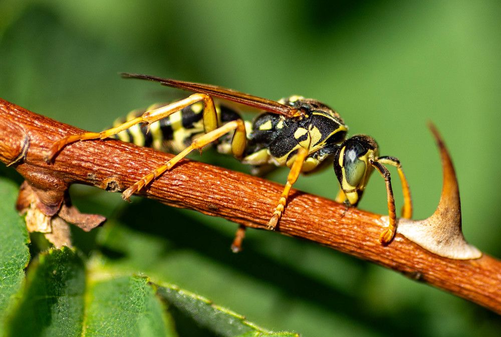 Фотография автора Владимир Оликов