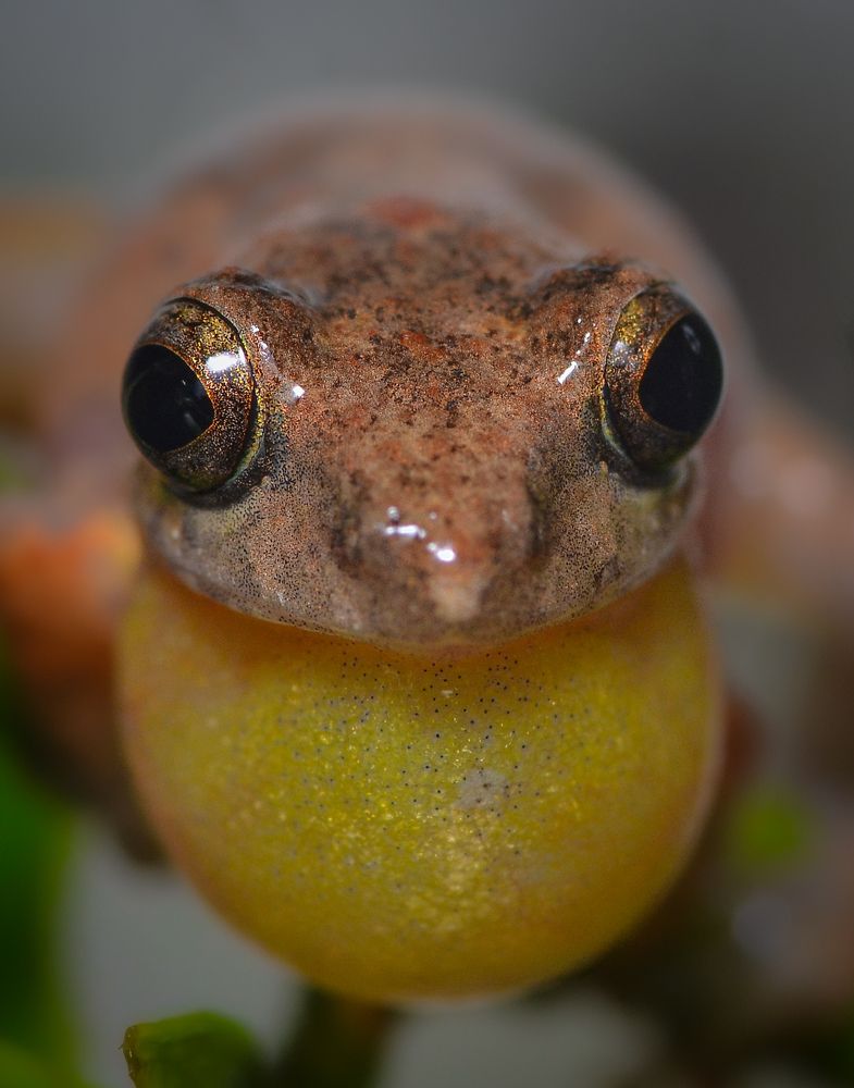 Photograph by Kasun Wickramasinghe