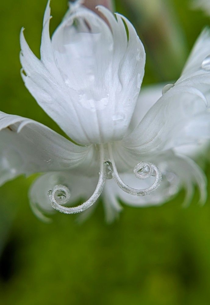 Photograph by Екатерина Колот