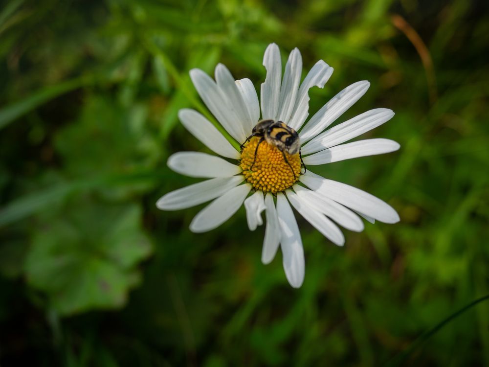 Фотография автора Андрей Шитиков