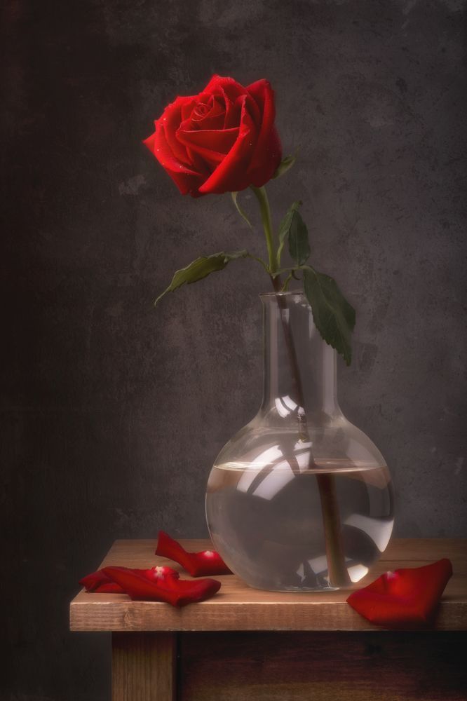 Photograph by Максим Вышарь