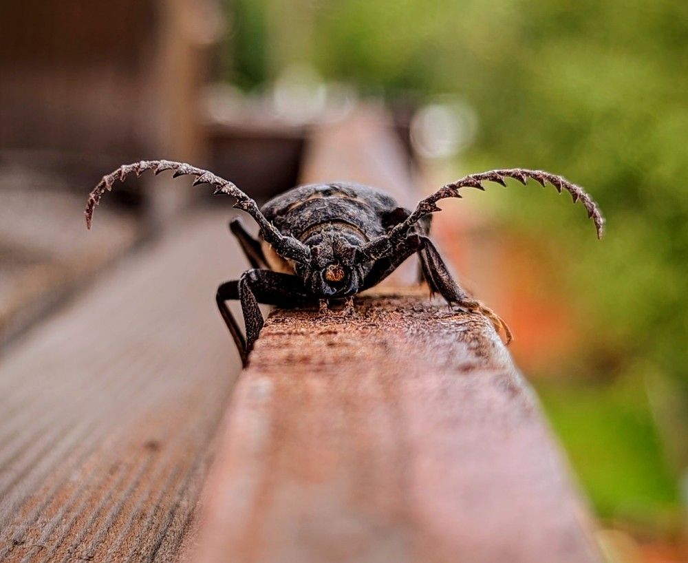 Photograph by Екатерина Колот