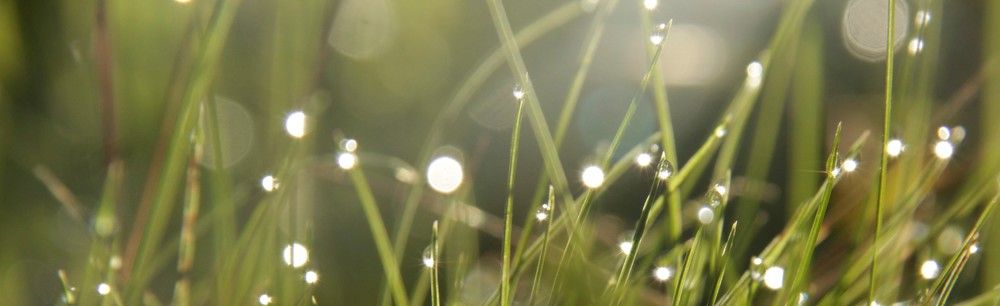 Photograph by Анна