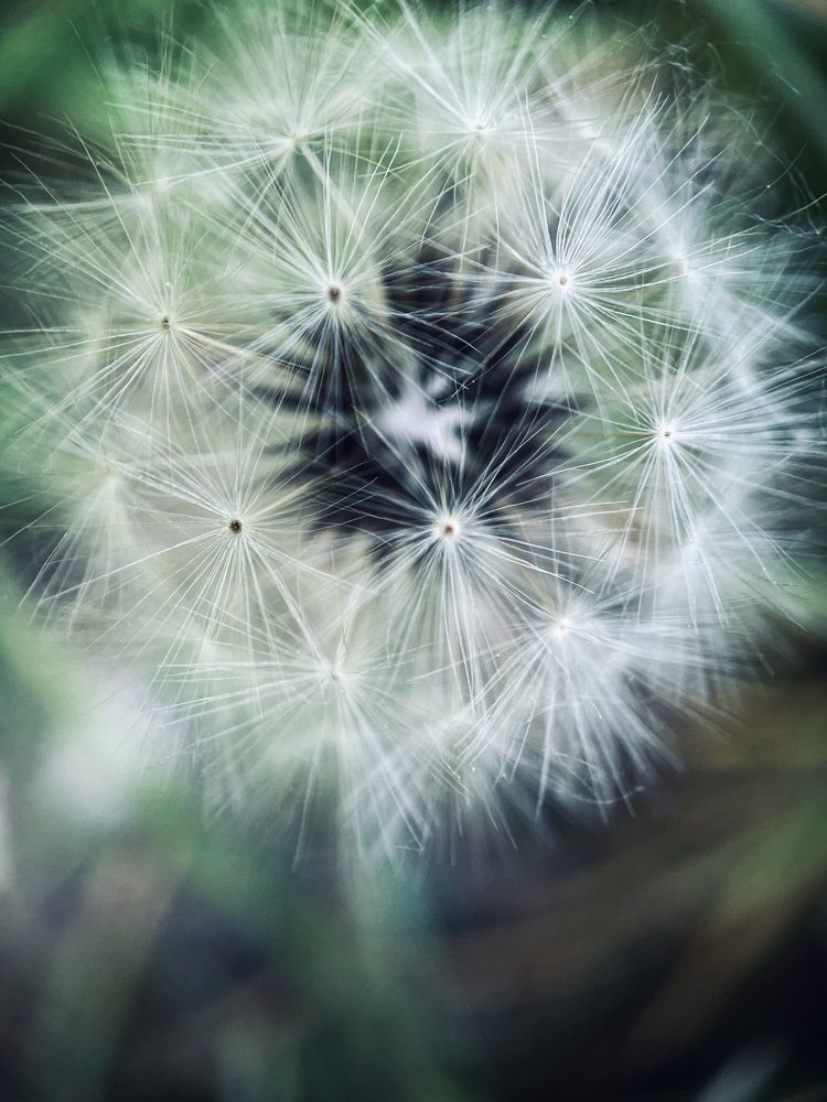 Photograph by Шевалье Татьяна