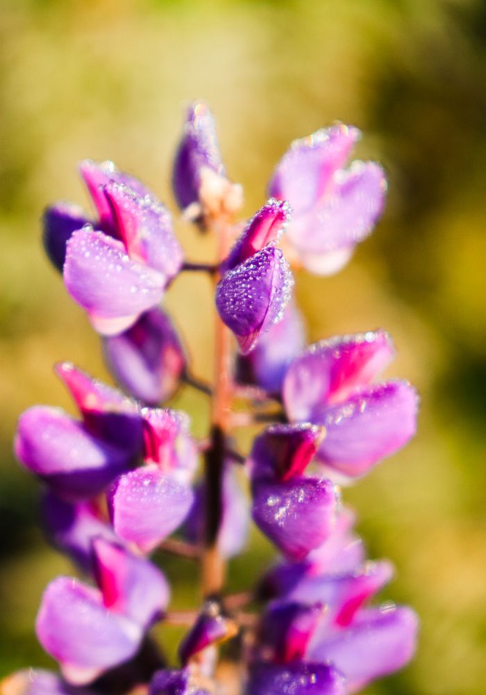 Photograph by Onyx X