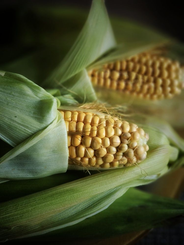 Photograph by Ольга Захарикова