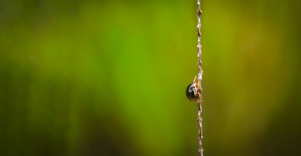 Photograph by Kasun Wickramasinghe