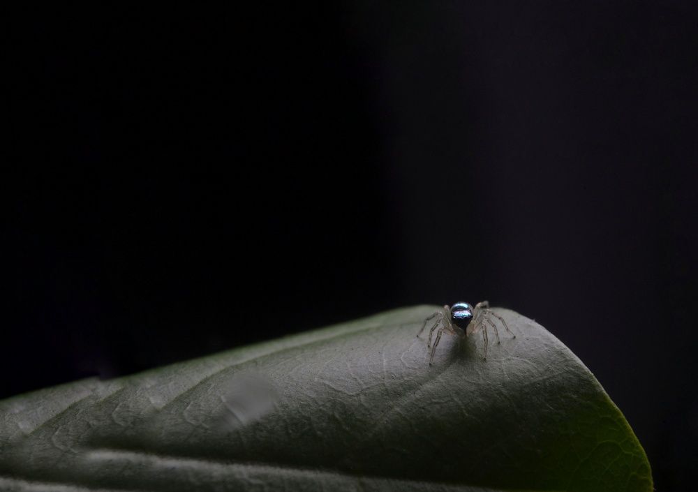 Photograph by Kasun Wickramasinghe