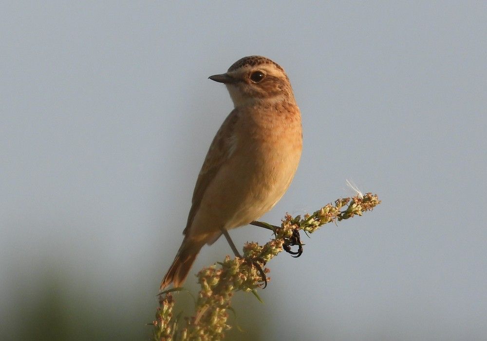 Photograph by Владимир Джерихов