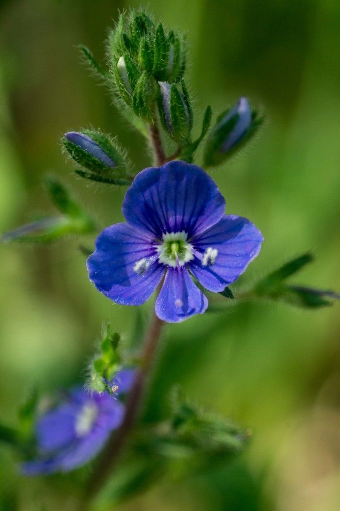 Photograph by Евгения Антропова