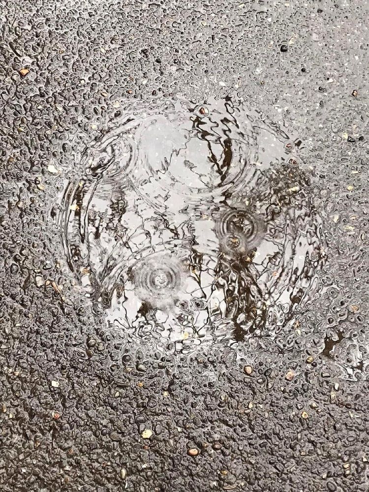 Photograph by Nunu Gambashidze