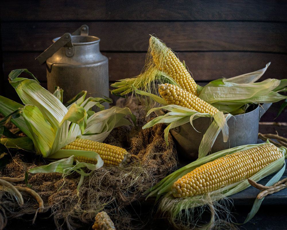 Photograph by  Анастасия Тимарг