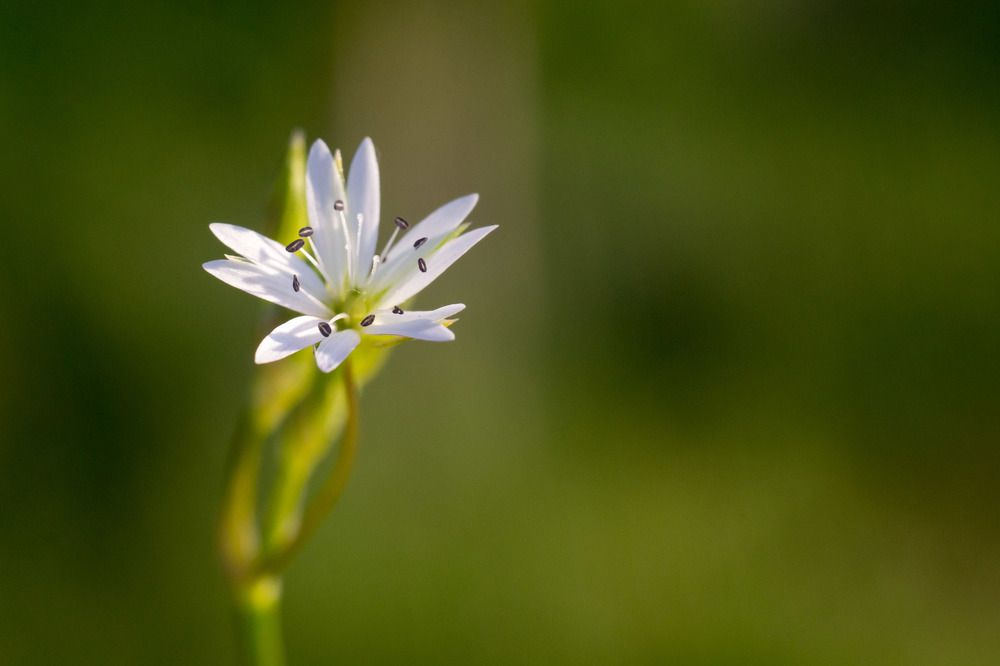 Photograph by Евгения Антропова