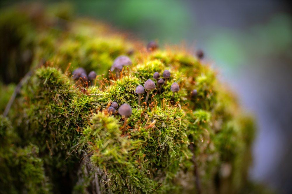 Photograph by Сергей Забиякин