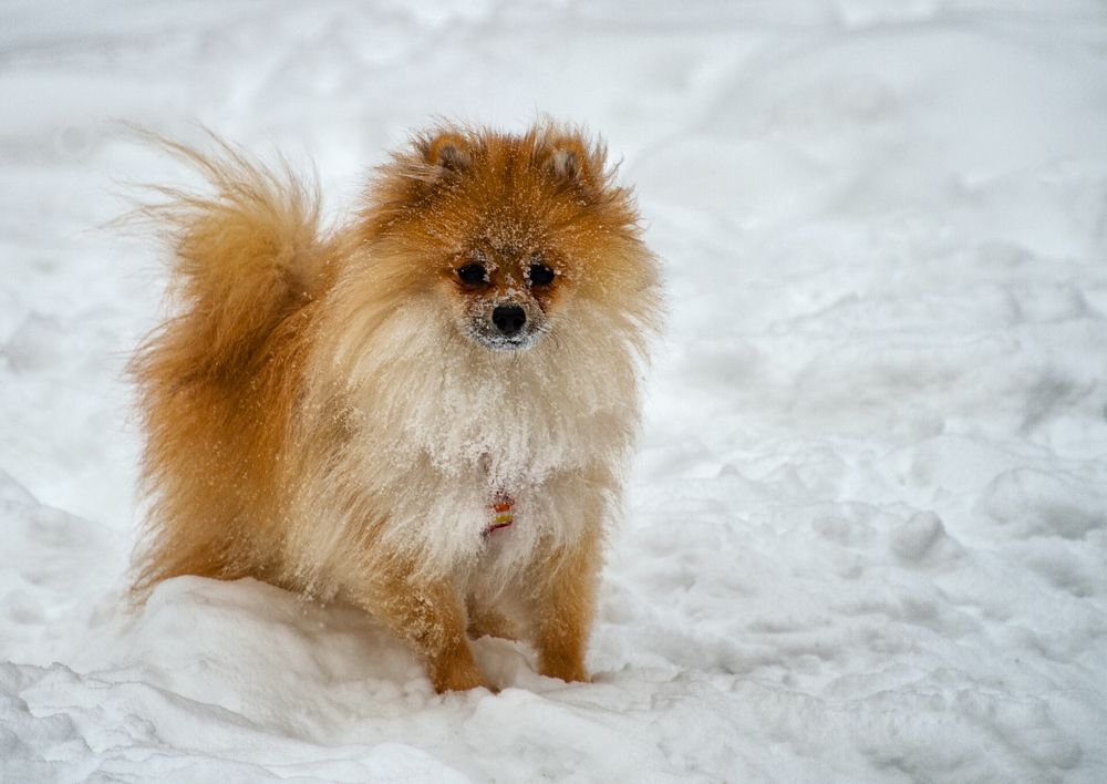 Photograph by Олег Ващилко