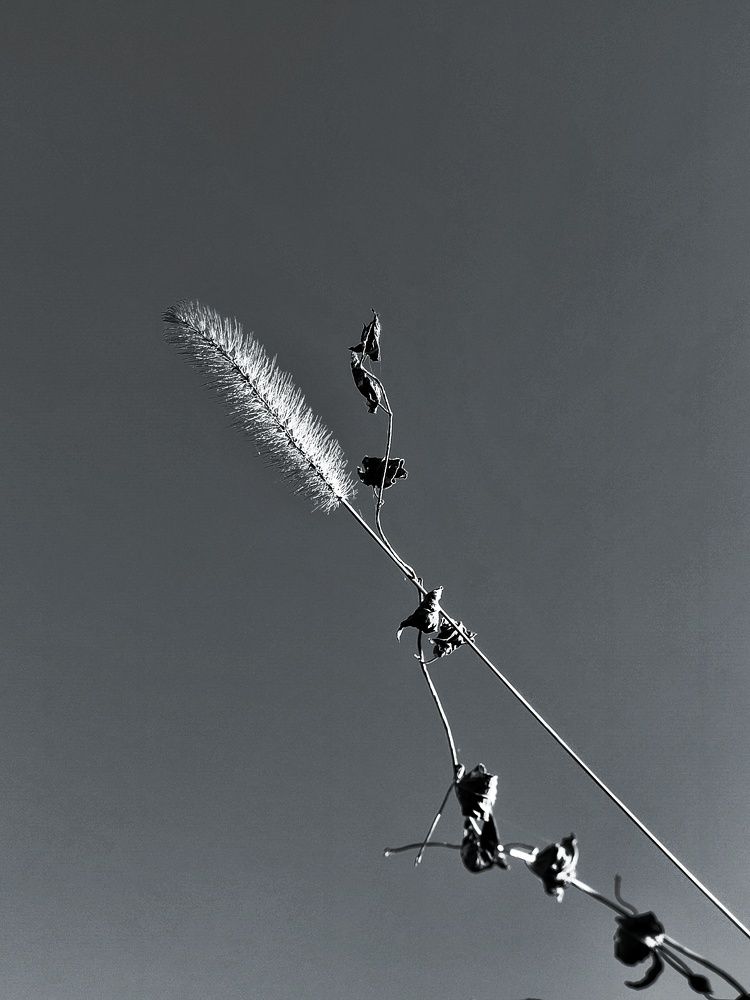 Photograph by Ольга Малина