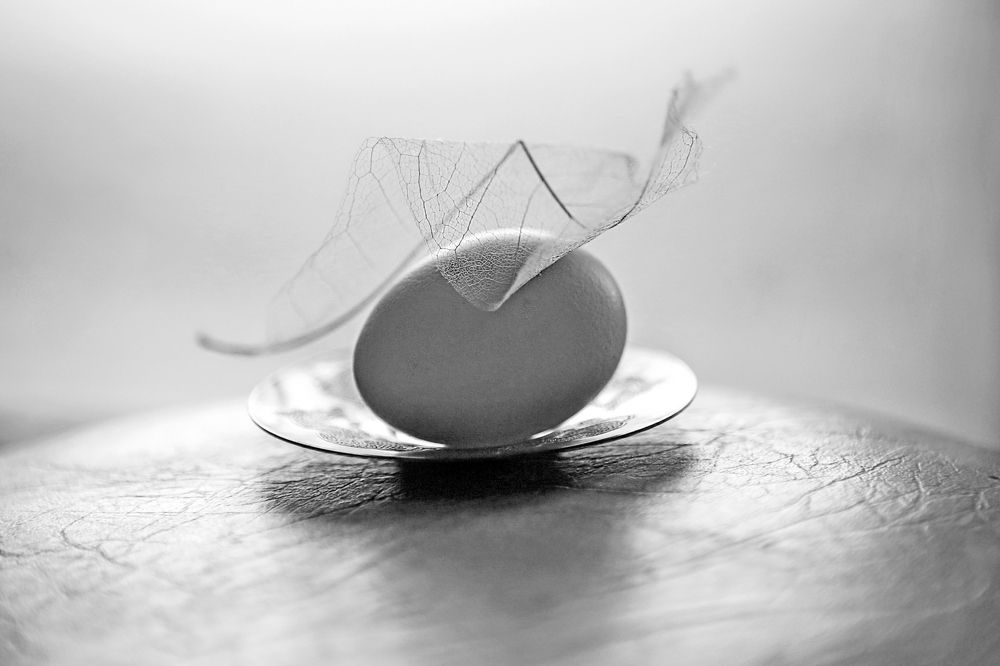 Чистота формы.