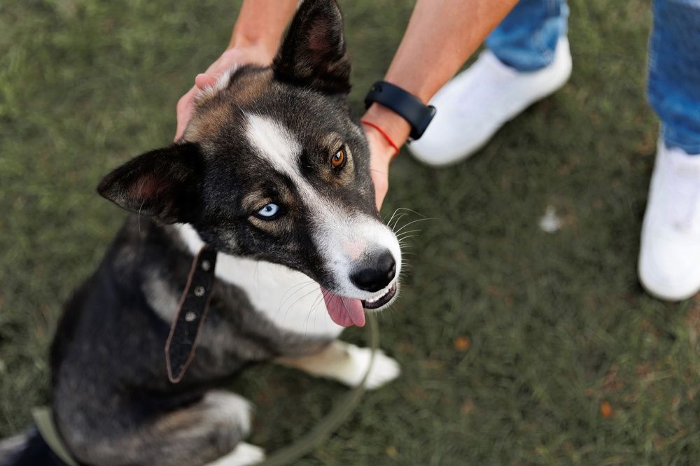 Photograph by Антон Чепуркин