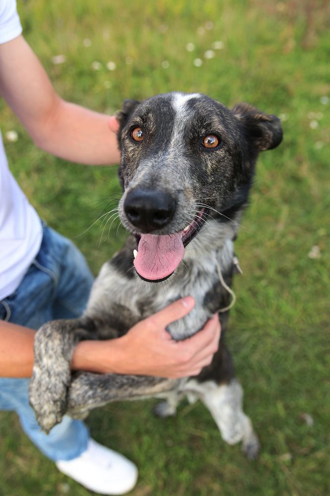 Photograph by Антон Чепуркин