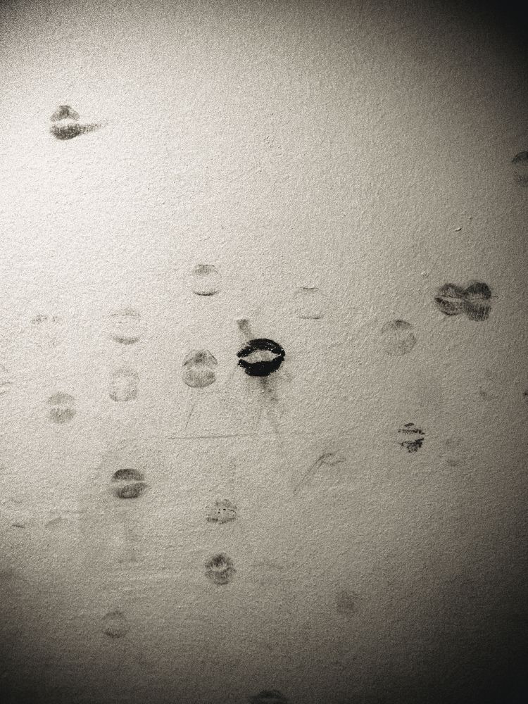 Photograph by Анастасия Бурая